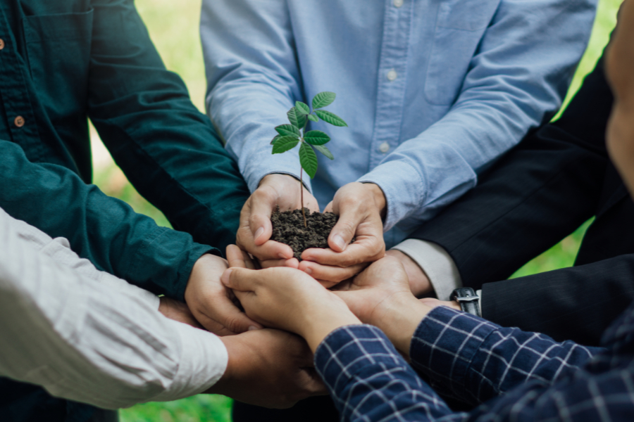 Group,Of,Business,Hands,Holding,Young,Plant,On,Blur,Green