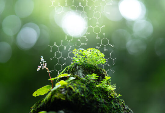 Plants,Background,With,Biochemistry,Structure.,Copy,Space,Using,As,Background
